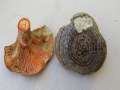 Lactarius&nbsp;quieticolor&nbsp;-&nbsp;Brauner Kiefern-Blutreizker&nbsp;-&nbsp;Walbeck